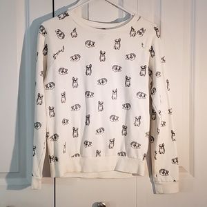 Boston terrier puppy sweater